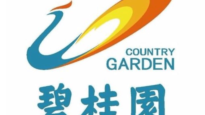 碧桂园利息已经如期支付,对公司将形成双重利好。你看好吗?
