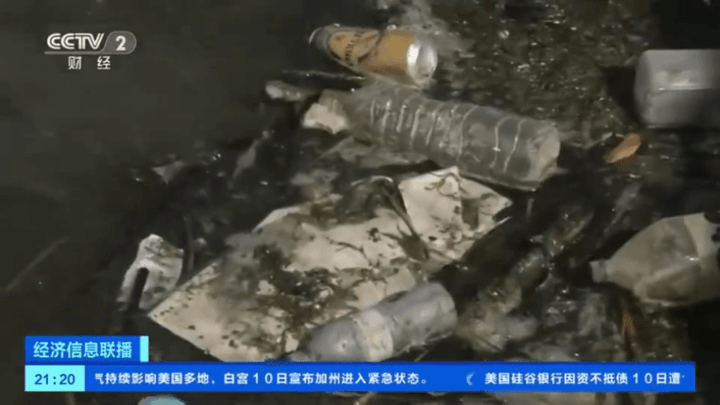 研究发现全球海洋含170万亿个塑料微粒,你认为这些塑料是有毒的吗?