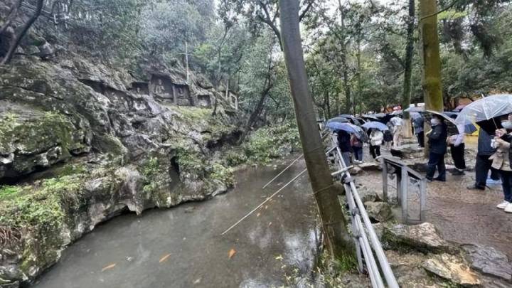 杭州灵隐寺旁溪流中,大量乌龟死亡,你怎么看?