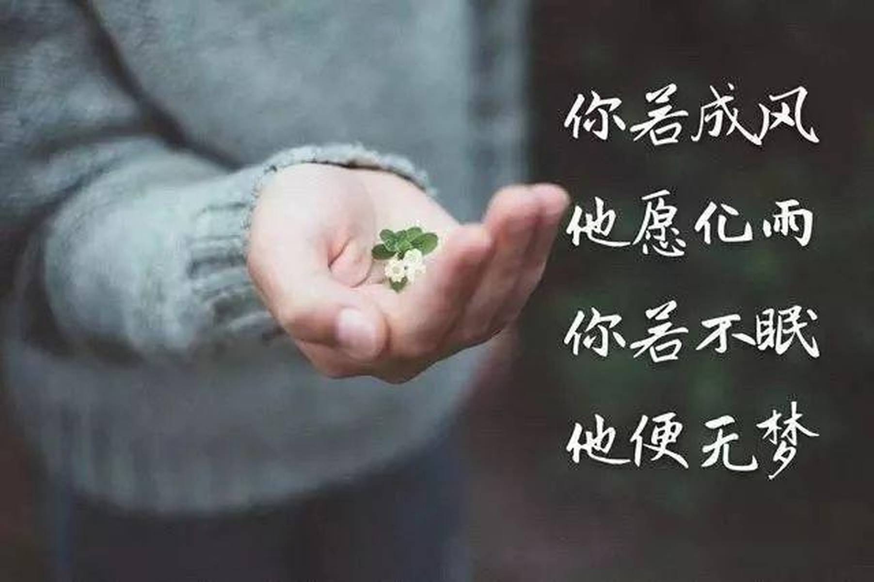 心情不好的句子说说，句句催泪，送给情绪低落的你！