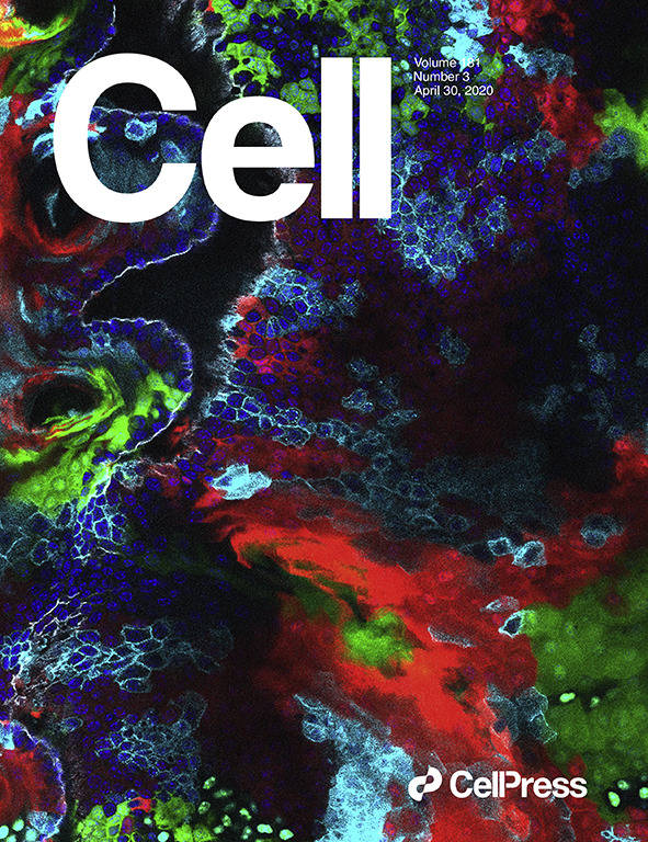 科学与艺术的结合!《cell》100 张期刊封面鉴赏|2020年篇