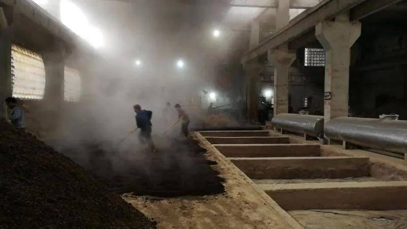 大家都知道,酱酒是用粮食酿出来的,而窖池就是把粮食变成酒的关键地方