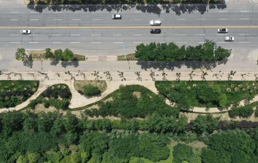 运城红旗东街正华丽变身打造带状公园增加人行步道营造全新景观效果