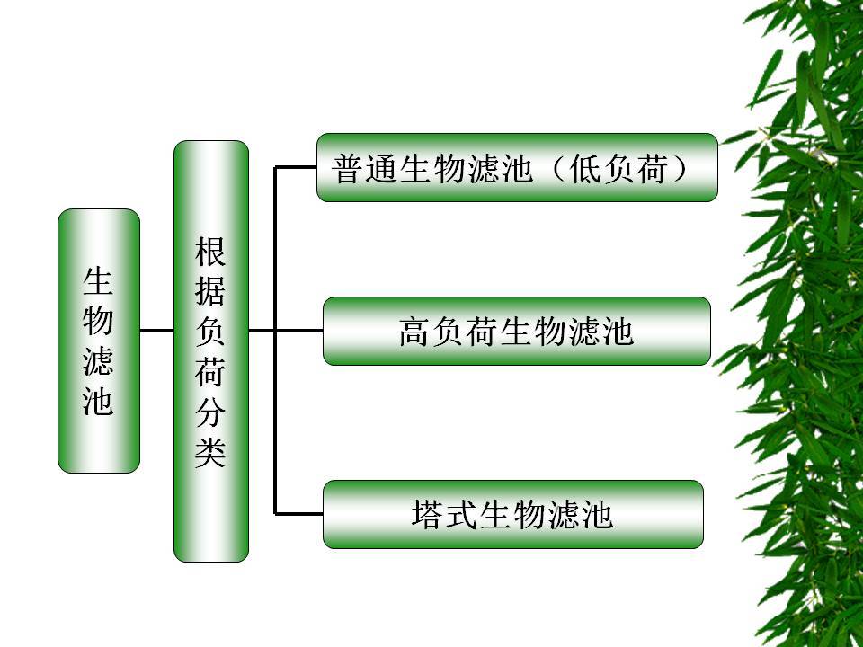 生物膜生物滤池