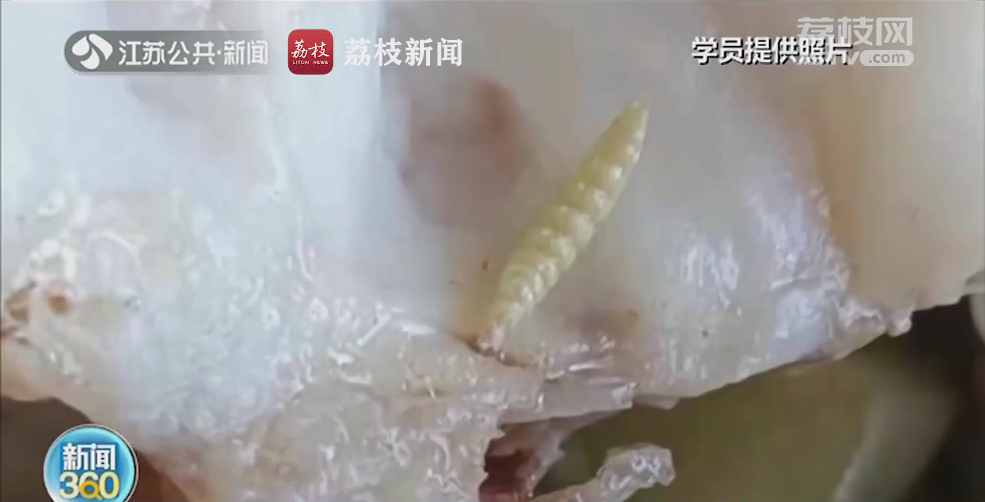 减肥训练营食堂吃到疑似蛆虫 厨师:只是普通活虫江苏城事看点·2021