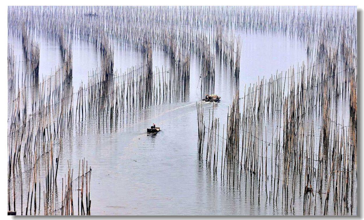 霞浦沙江村s弯美景