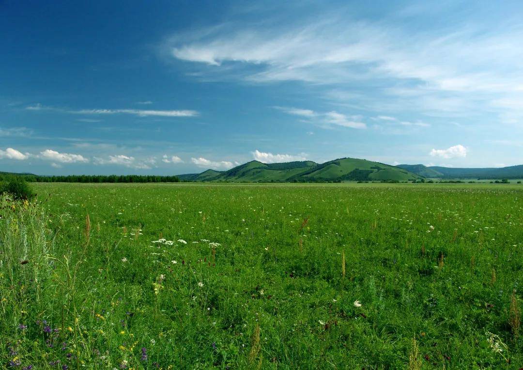 践行国家生态文明战略,双娃牧场启动草原改良计划!