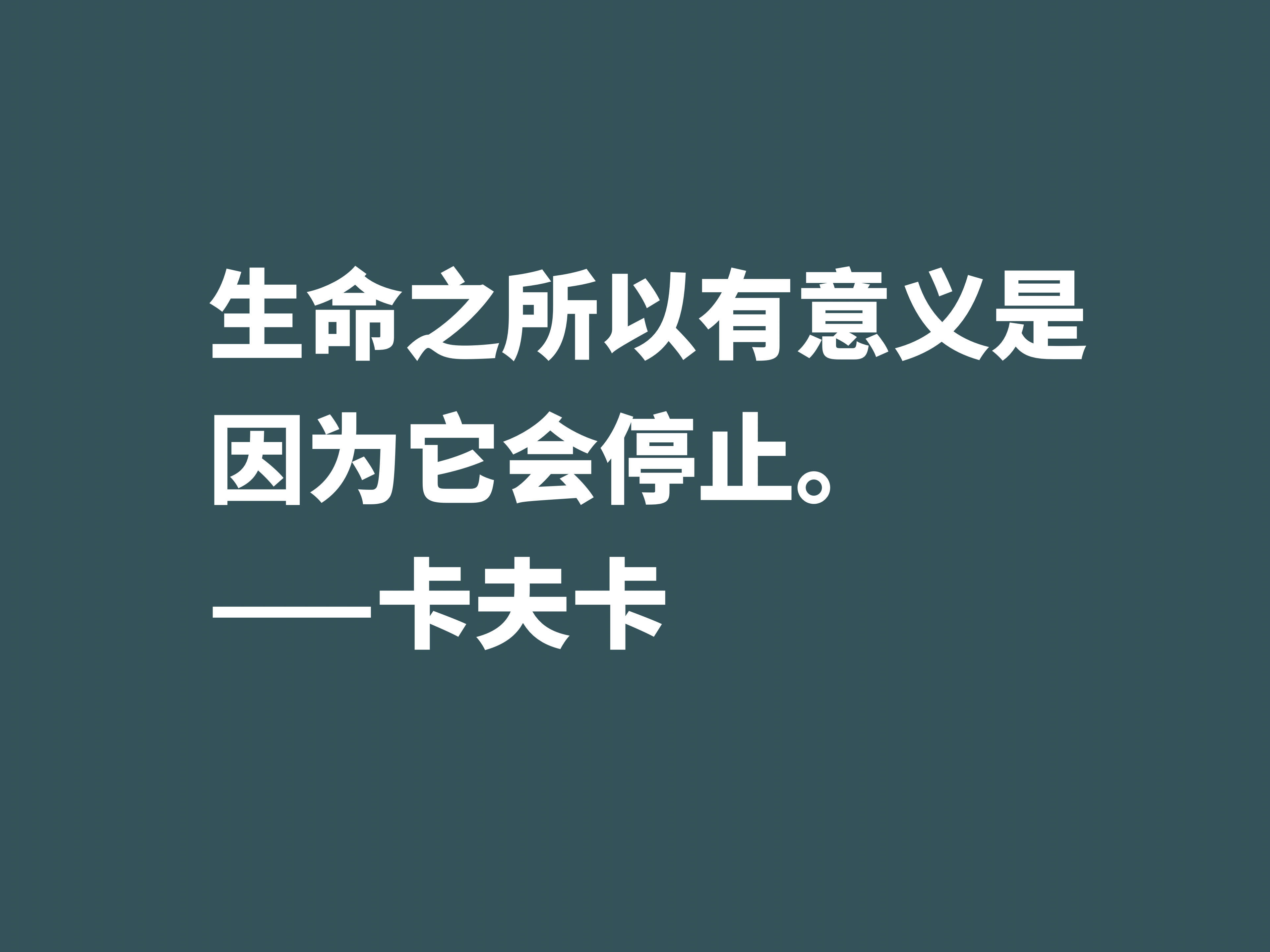 原创震惊世界文坛的大作家欣赏卡夫卡十句格言走进作家的精神世界