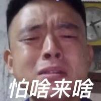 超火"窝嫩叠"表情包!邦邦给你两拳