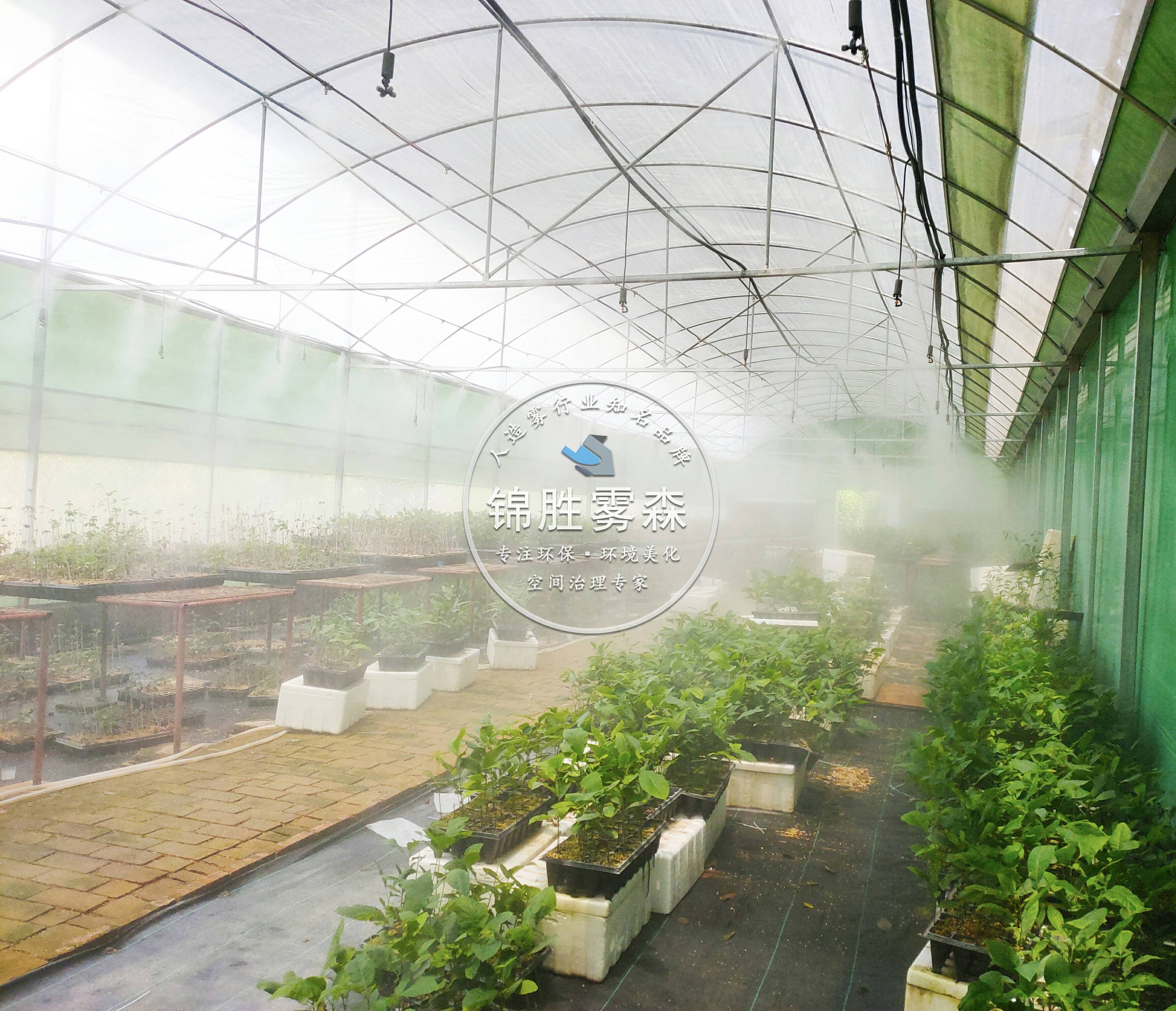 大棚温室喷雾降温系统应用,智能浇灌提升种植环境