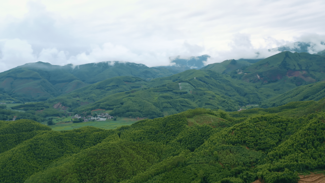 美丽云南(第二季|天赐绿洲 风情景谷—美名:普洱·景谷傣族彝族