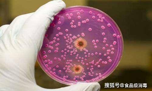 大肠菌群检测方法及如何杀灭食品微生物