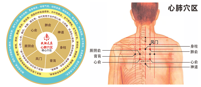 取穴推荐: 1,心肺穴区: 2,涌泉穴区