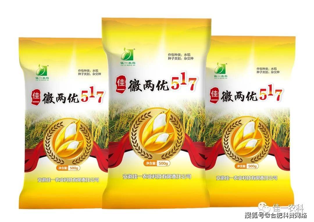 高产水稻品种佳一稻种徽两优517
