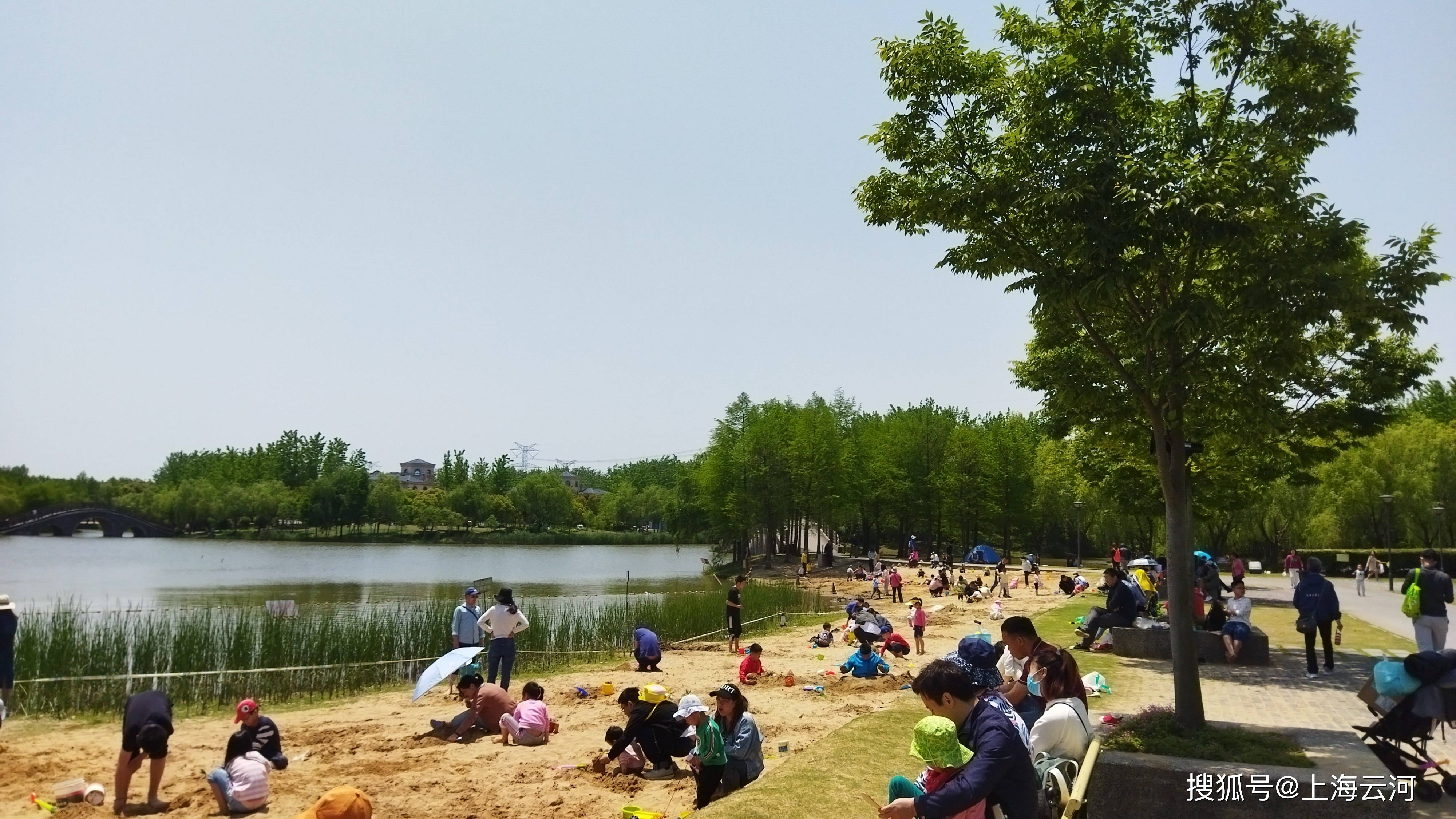 上海浦东,金海湿地公园,夏日(1)