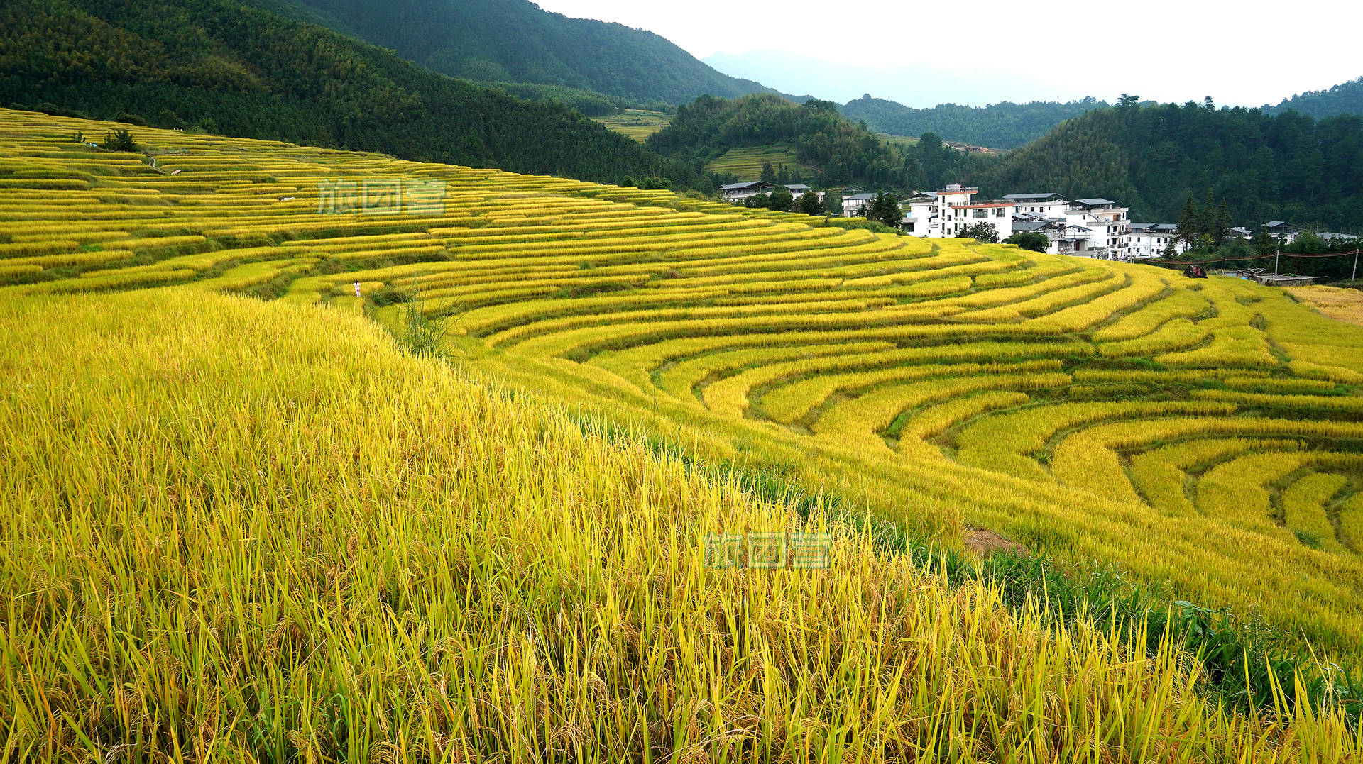 原创连山欧家梯田自驾游(超详细)旅游攻略.(多图)