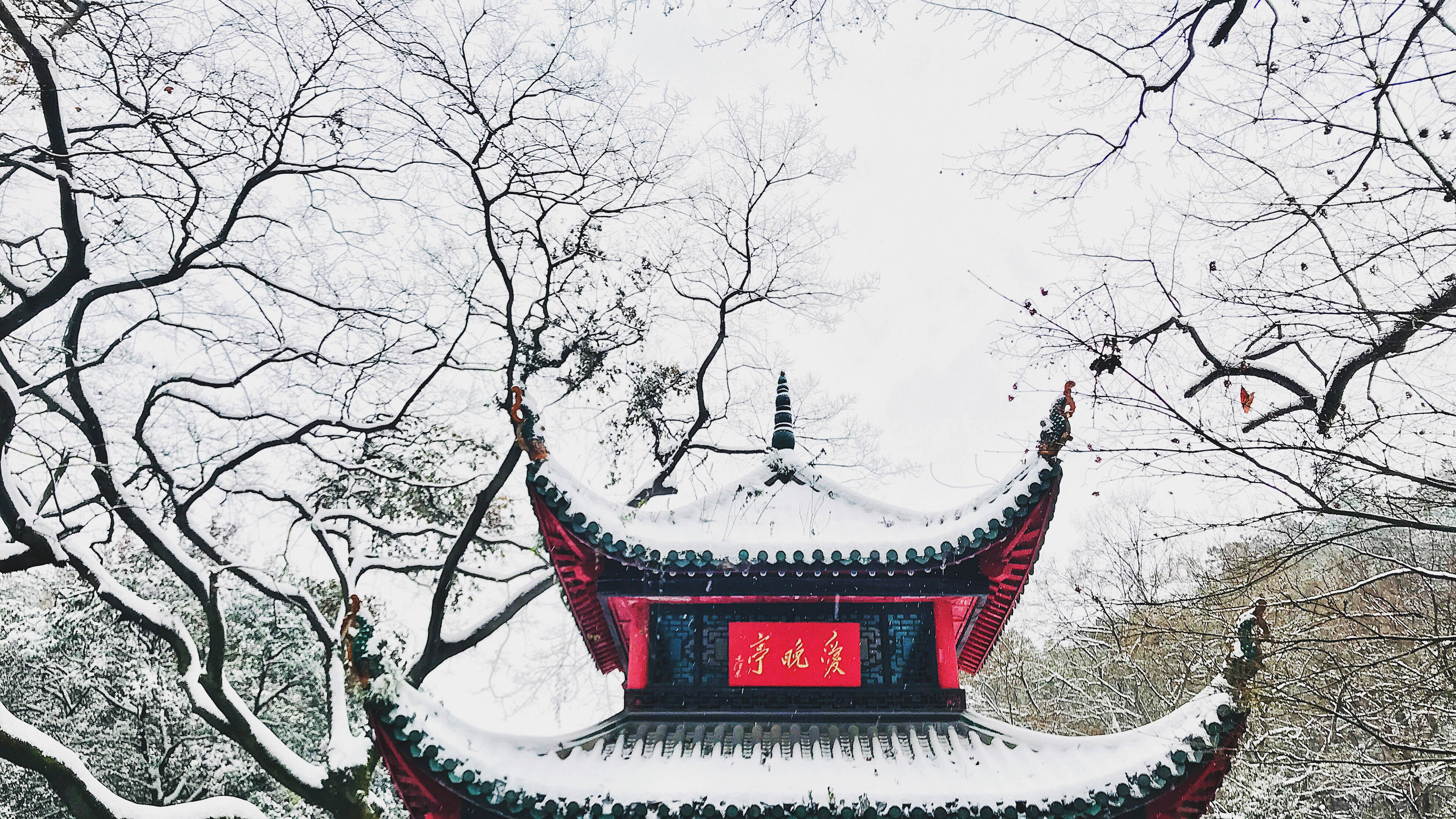 图片|长沙爱晚亭雪景    摄图网