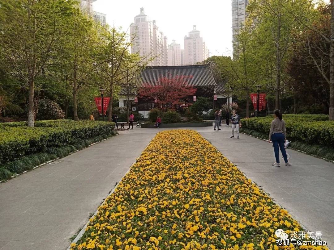 上海蓬莱公园王伯伯淡雅美景