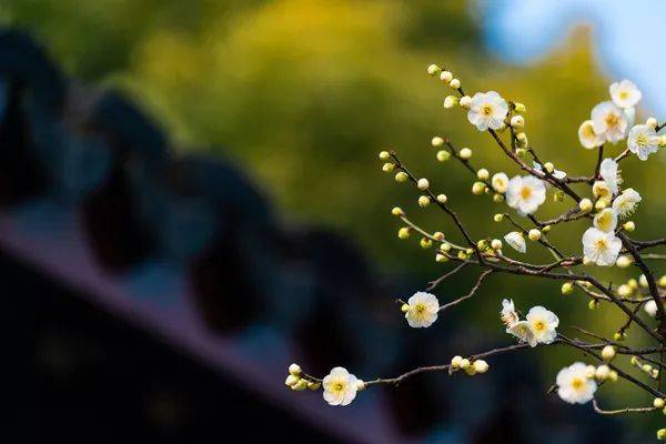 你知道2月20日是什么日子吗