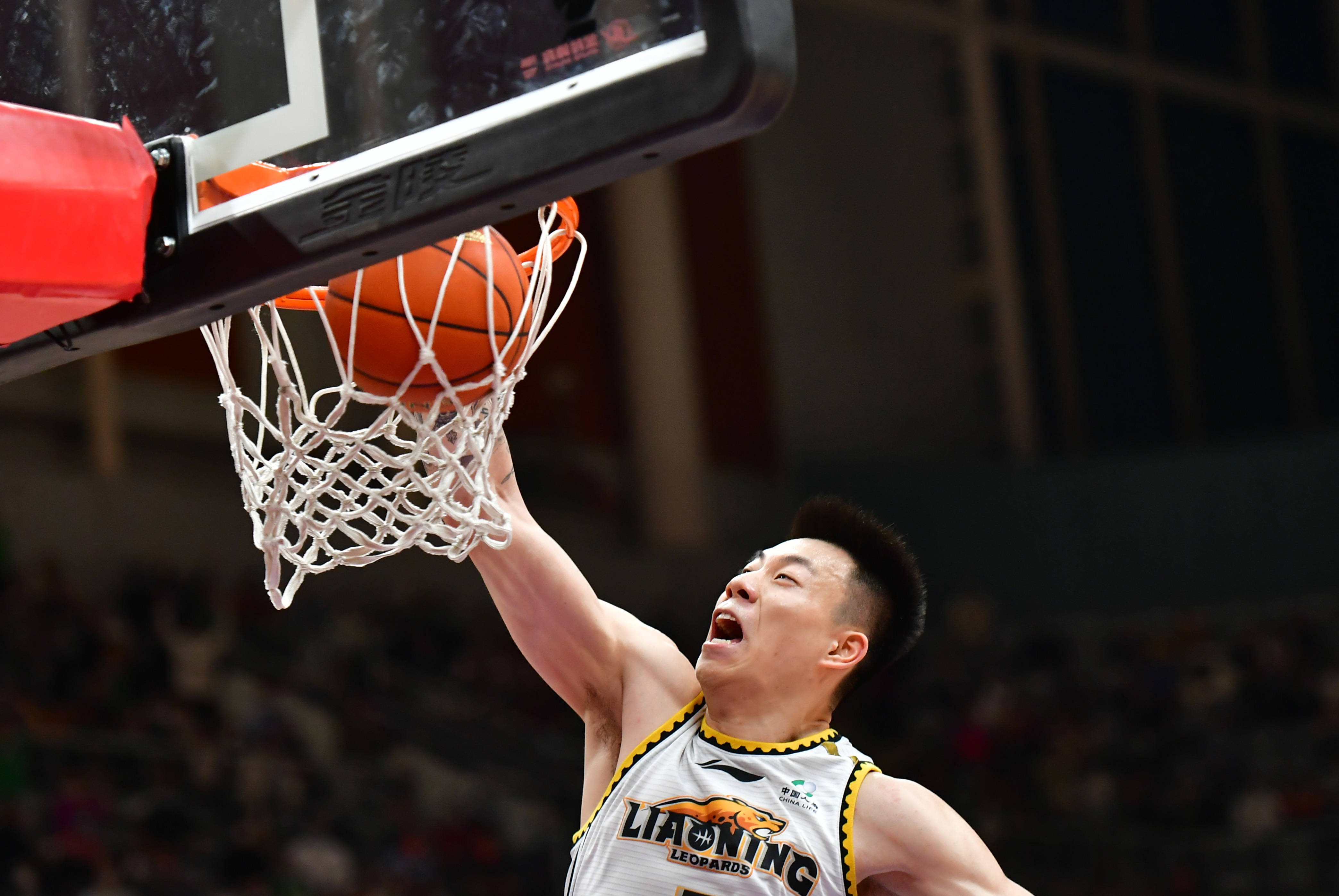 Zhang Zhenlin 20+7 contributed full data plus and minus +20 excellent offensive and defensive_Liaoning Men’s Basketball_Competition_Alan