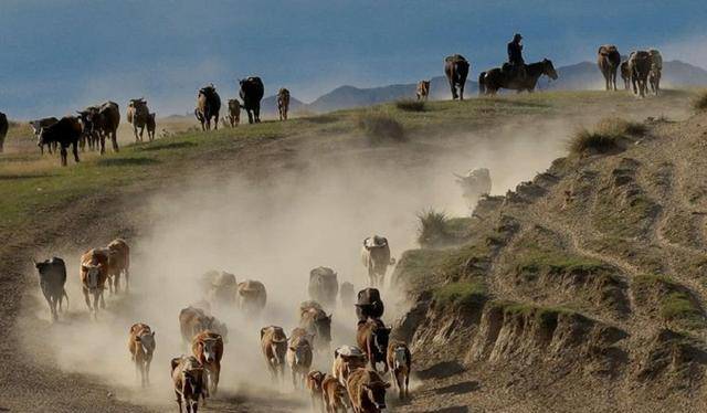 �Ĵ��Ļ��Ź��У�ӡ�ȺͰ������ڣ�Ϊ��ֻ�����й���