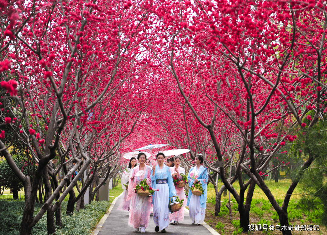 3月18日郑州绿博园问花节美意启幕！