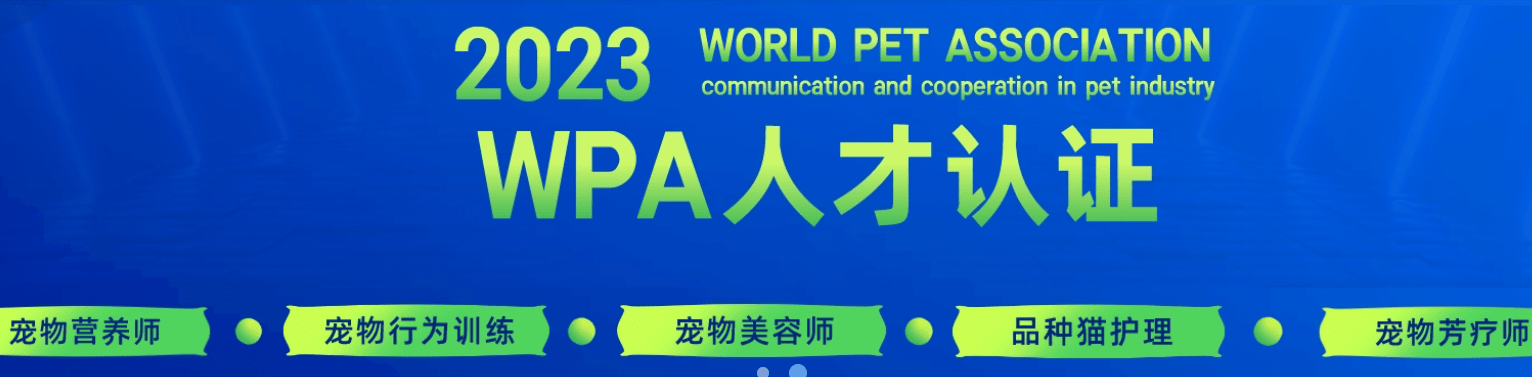 布偶猫品种解析，你知道最受欢迎的是哪个吗？