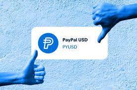 加密专家提出警告：PayPal 的 PYUSD 稳定币真的值得信赖吗？