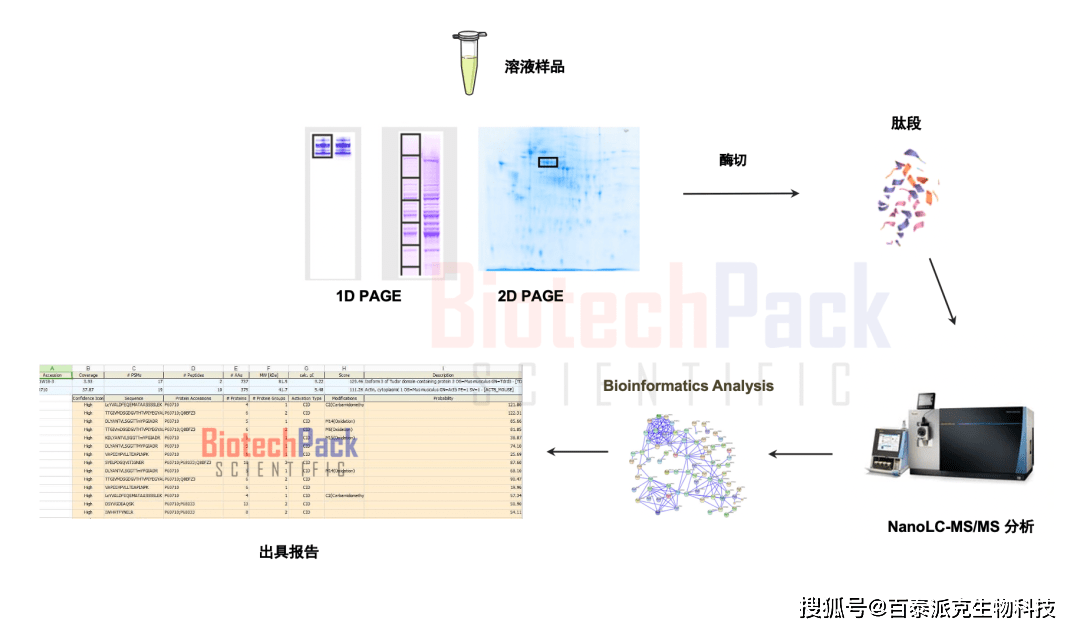 blastp，探索蛋白质序列数据库的利器，它如何改变生物信息学领域？