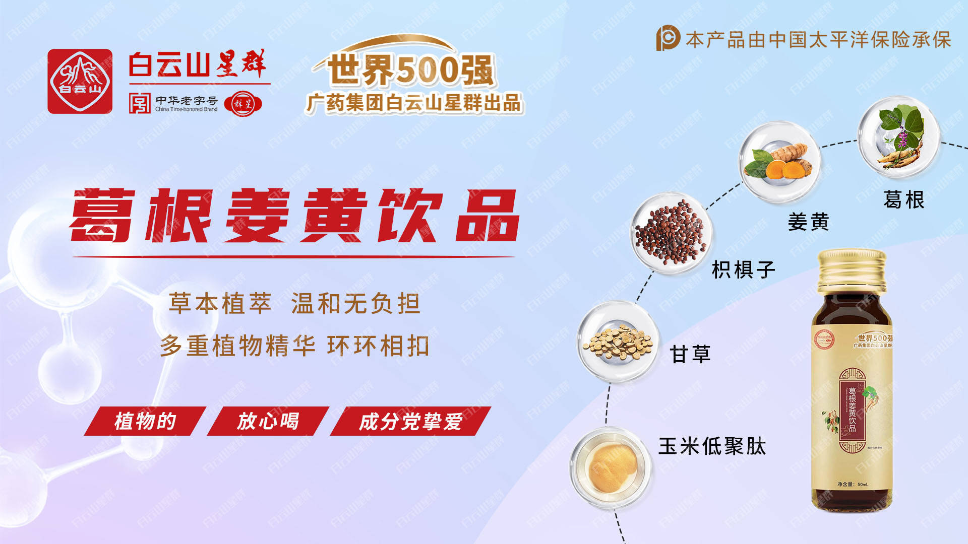 如何摆脱酒后不适？白云山星群葛根葛根姜黄饮，秉承中医药食同源理念，