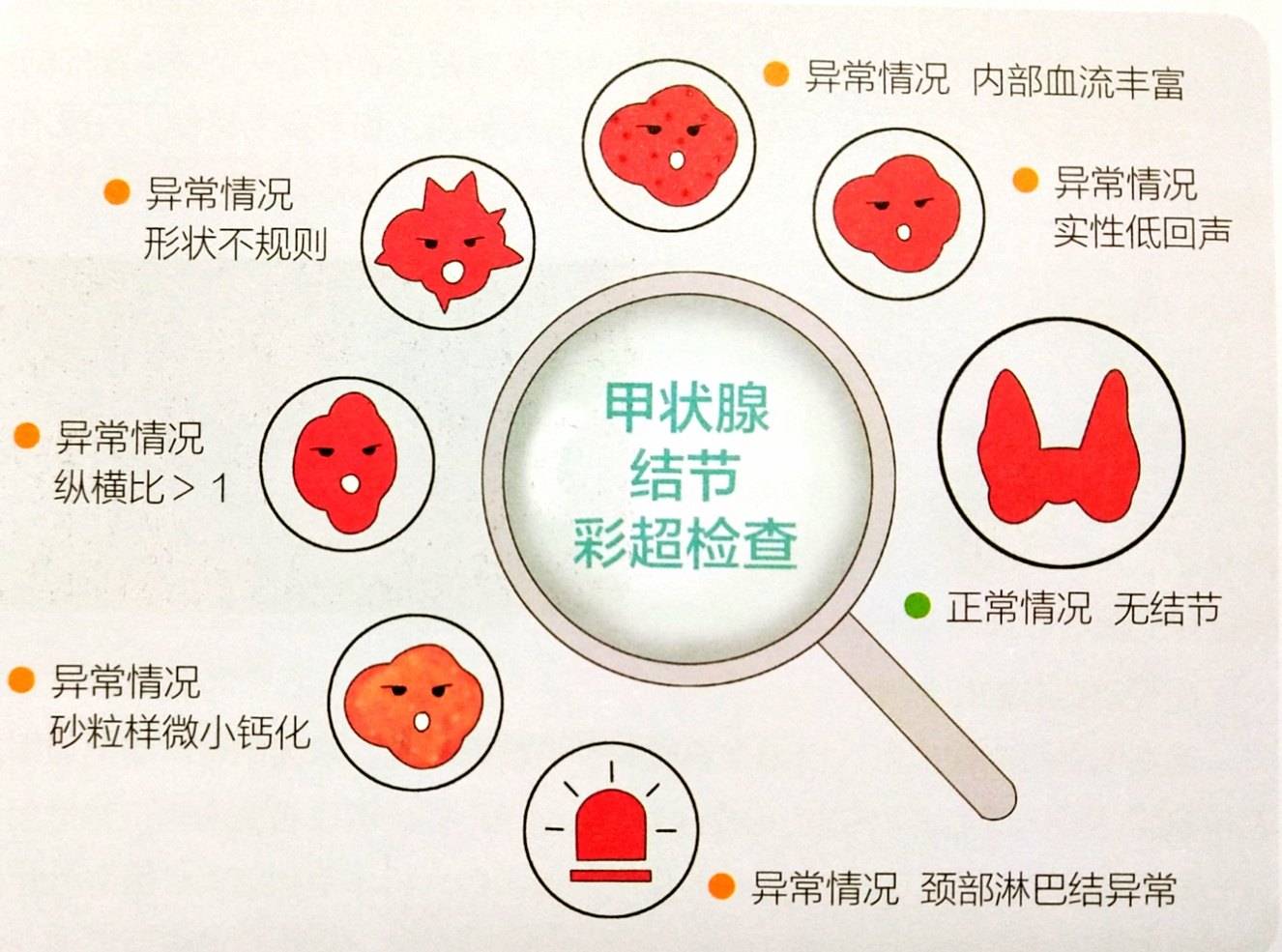 6个词教你看懂甲状腺彩超，真的很简单！