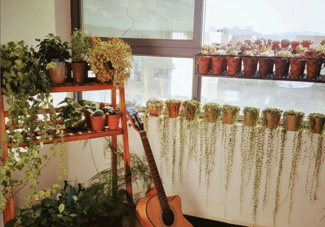 原创企业女员工生三胎奖10万！银行推行“三胎贷”！如此鼓励生三胎到底好不好？