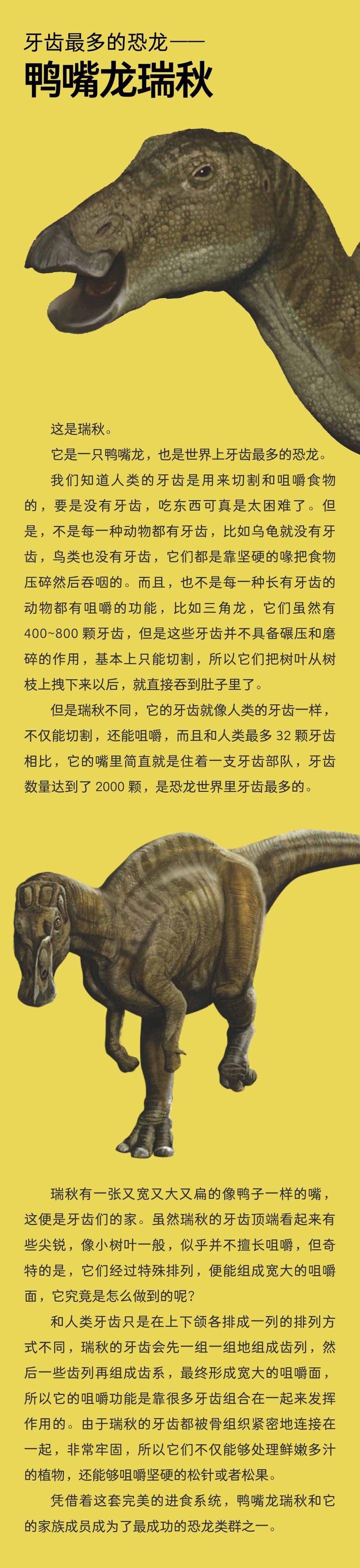牙齿最多的恐龙——鸭嘴龙瑞秋