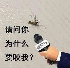 497ef2ff6886446c8595242827fc2200.jpeg