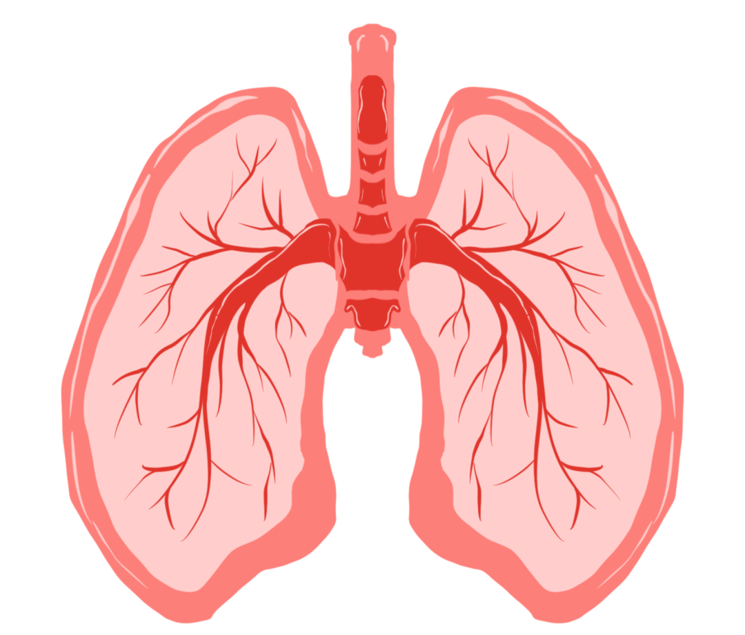 肺泡蛋白沉积症