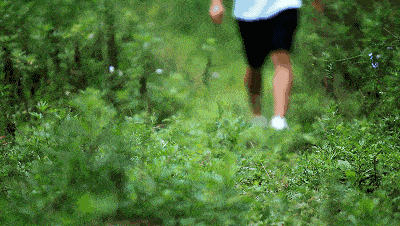 3公顷,风景优美,野生动植物资源丰富,是武汉地区森林面积最大的绿色