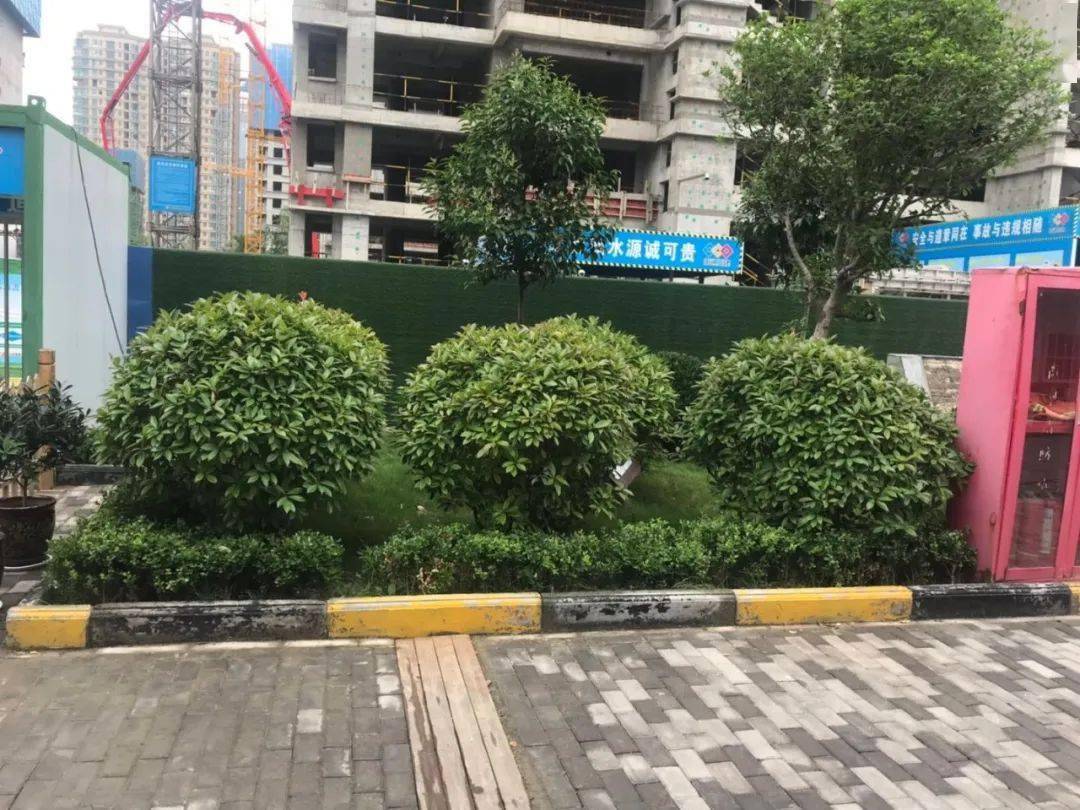 2020年的第一场标杆工地观摩会,我强烈推荐你看这个!