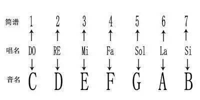 (4)五线谱,简谱音阶对照示意图.
