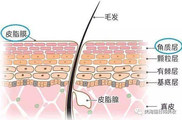 皮肤干燥起疹子图片