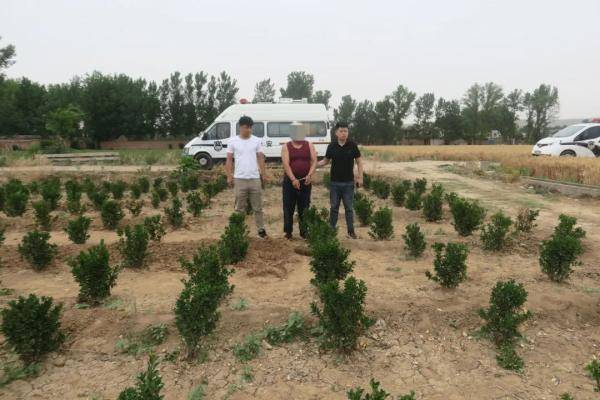 洛阳警方打掉两个盗挖古墓葬的犯罪团伙，抓获