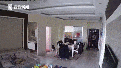 田某|男子入室盗窃被“直播” 民警当街上演“猫捉老鼠”