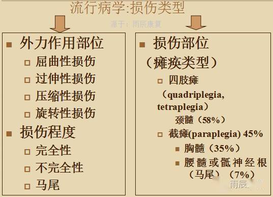 脊髓损伤超全面总结,超全!_手机搜狐网