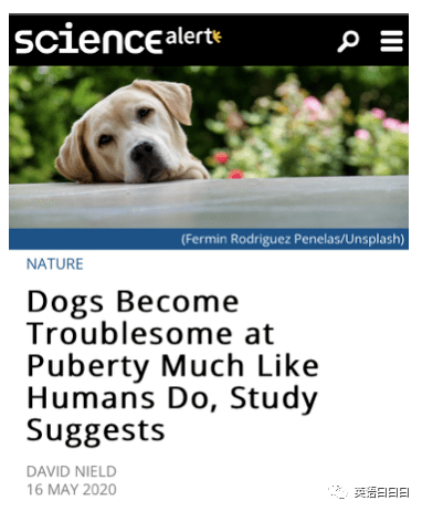 61e9a9bf55fa456dafea8107814648eb.png