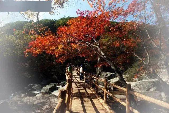 沈阳周边24个好去处,你去过几个?_景区