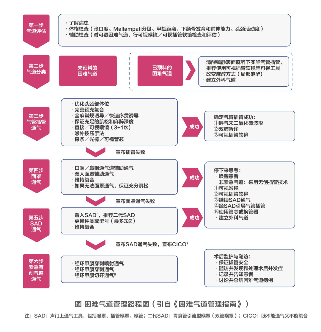 困难气道 5,选择建立气道的方法 6,即刻判断是否成功 7,最终处理:进