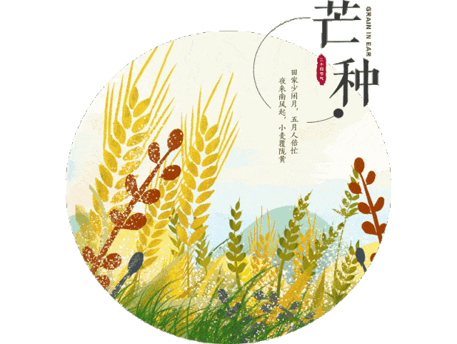 二十四节气之约芒种