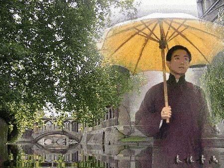 c981d692baa042cca6f856fdbdbf8edb.gif