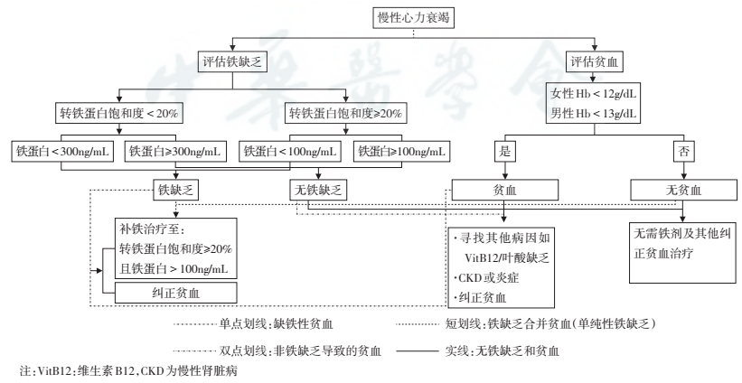 铁缺乏的筛查和监测:所有新诊心衰患者均应评估铁代谢