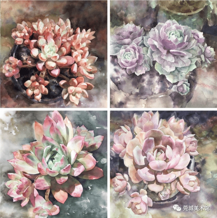 多肉种子生长过程图解 e3fc337e54be44ae8469472a2442d907.png