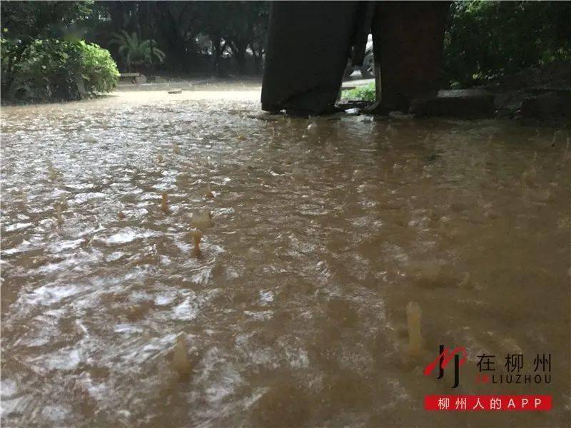 重要提醒暴雨大暴雨特大暴雨柳州今晚开始将迎来新一轮强降雨